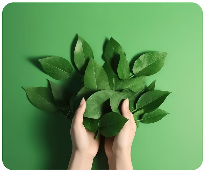 IUC GreenPaths Project