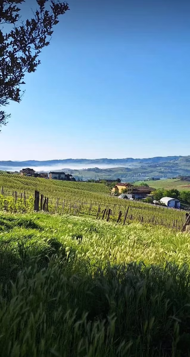 IUC Slow Finance Summer Campus in Annunziata, Costigliole d'Asti